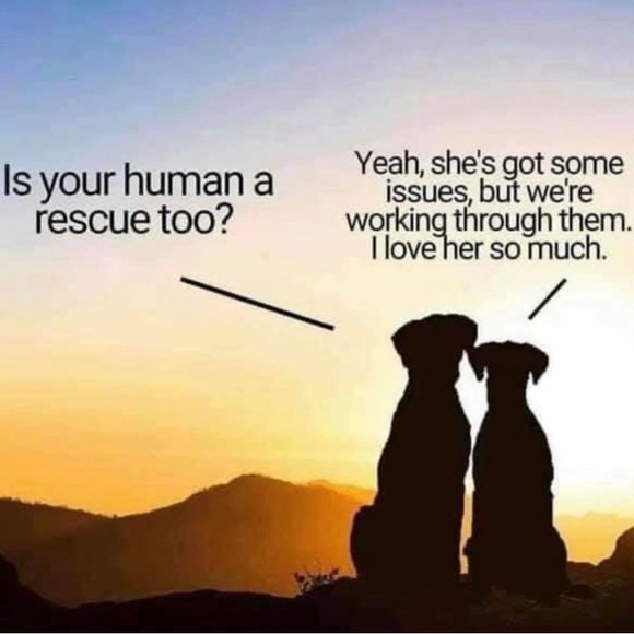 CLOSING TO TRAVEL! - Picture 8 of 9